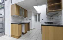 Ashcombe Park kitchen extension leads
